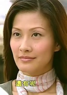 美味情缘(2001年吴启华、陈慧珊主演香港TVB电视剧)
