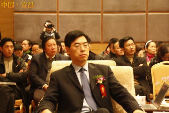 中国国际电子商务中心总监王开 中国国际电子商务中心总监王开