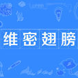 维密翅膀
