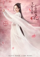 三生三世十里桃花(2017年杨幂、赵又廷主演古装电视剧)