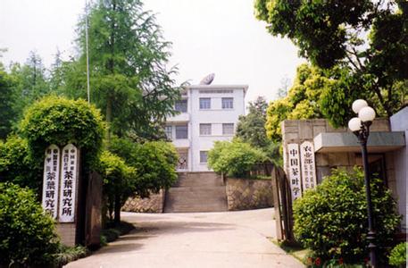 中国农业科学院茶叶研究所 中国农业科学院茶叶研究所