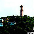 罗浮山(浙江省永嘉县罗浮山)