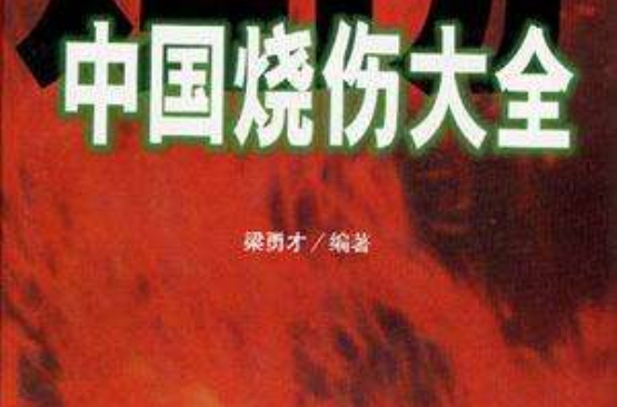 中国烧伤大全