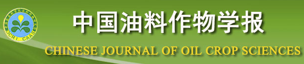 中国油料作物学报 中国油料作物学报