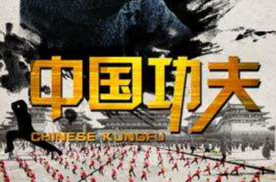 中国功夫(2010年吴樾主演电影)