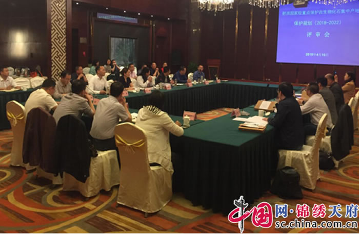 中华侏罗纪公园 中华侏罗纪公园