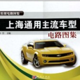 上海大众主流车型电路图集