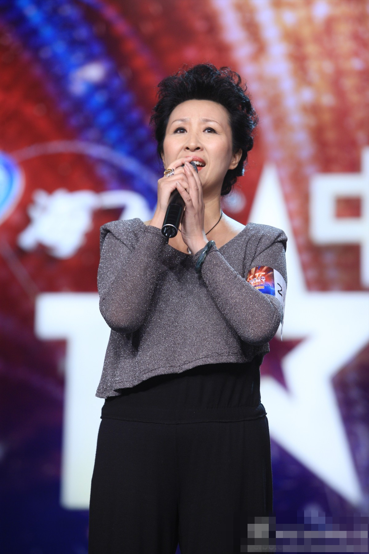 中国达人秀第四季 中国达人秀第四季