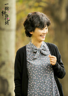一树桃花开(2016年王瑞执导电视剧)