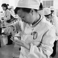 中式麵点师(製作中国风味的麵食或小吃的人员)