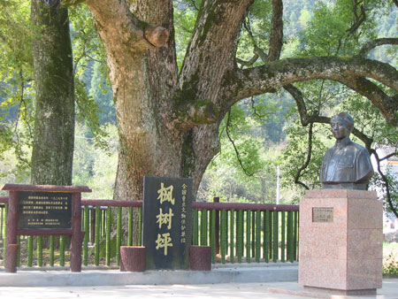 枫树坪 枫树坪