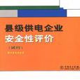 县级供电企业安全性评价查评依据