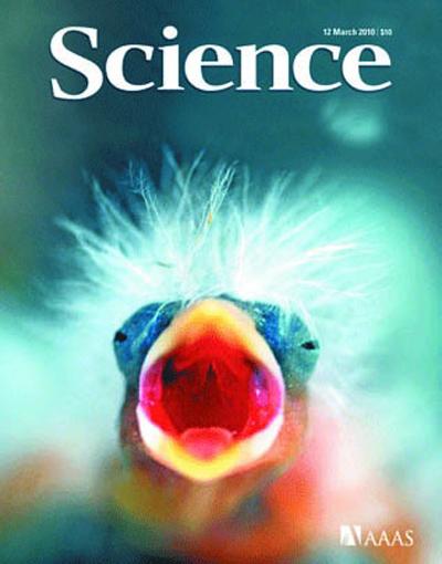《科学》杂誌 《科学》杂誌