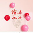 缘来如此(小说)