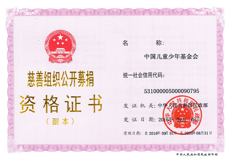 中国儿童少年基金会 中国儿童少年基金会