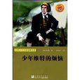 世界少年文学经典文库：少年维特的烦恼
