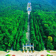中山陵