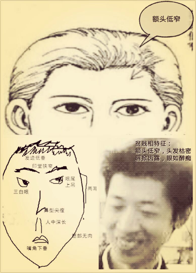 面相三停解析 面相三停解析