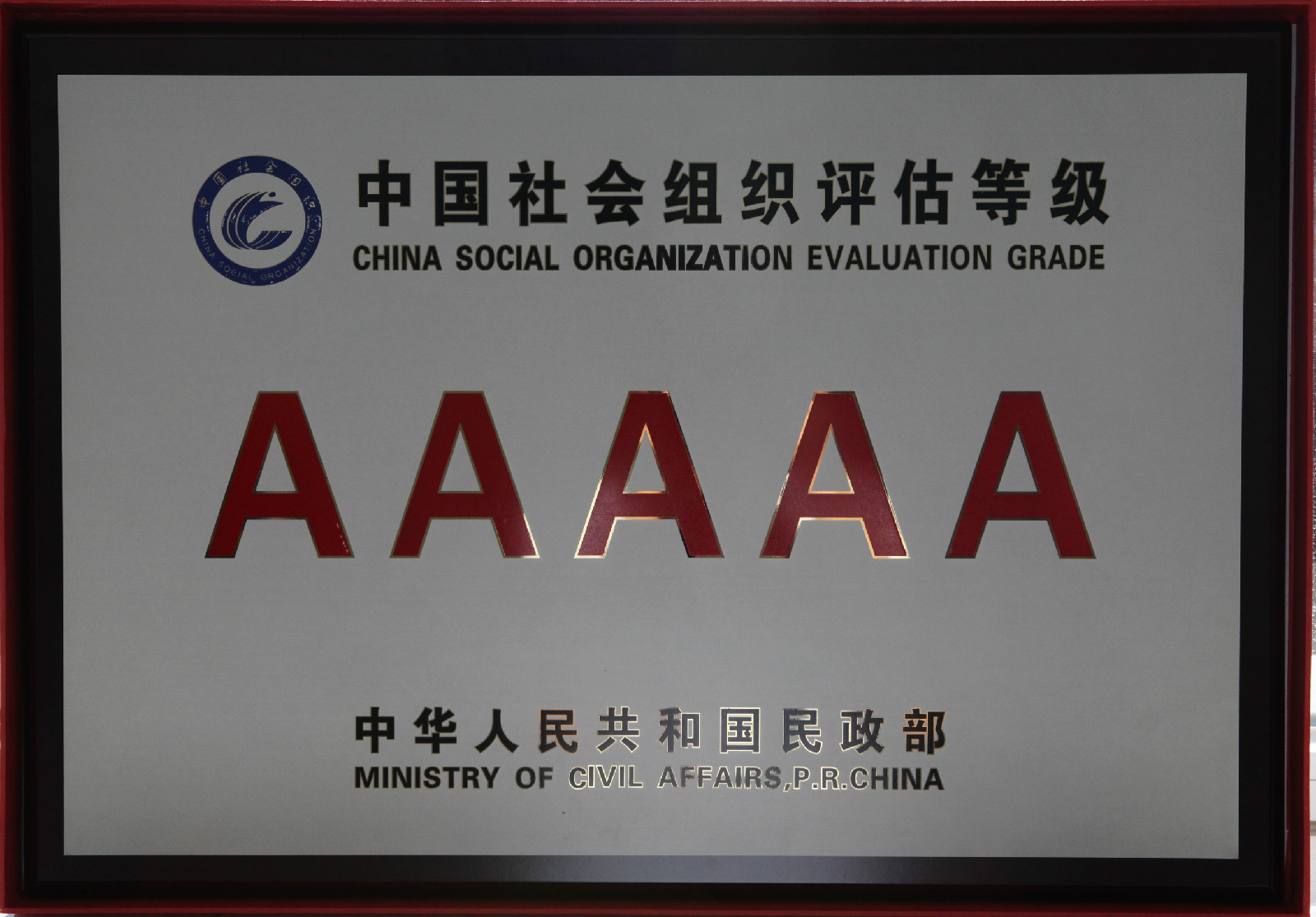 中国残疾人福利基金会 中国残疾人福利基金会