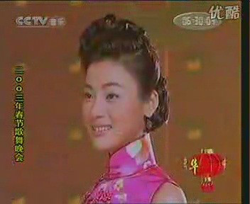 中央电视台2003年春节歌舞晚会 中央电视台2003年春节歌舞晚会