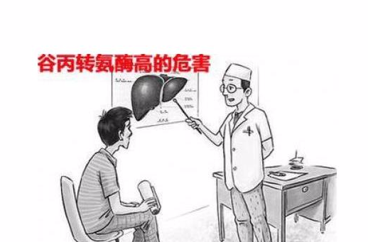 丙氨酸转氨酶