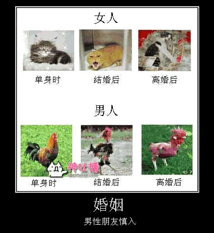 婚姻成为男人的坟墓 婚姻成为男人的坟墓