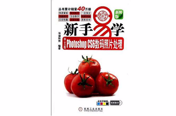 中文版Photoshop CS6数码照片处理