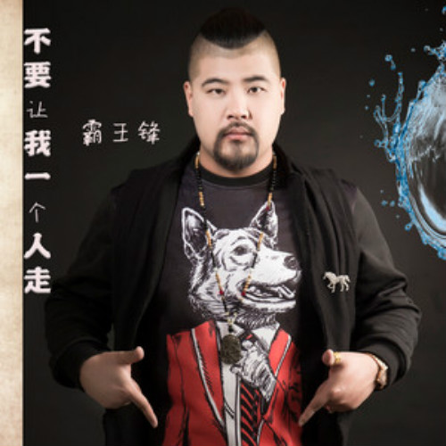 不要让我一个人走(霸王锋演唱的歌曲)