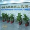 中国医史博物馆