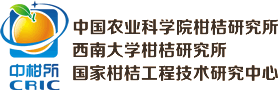 所徽 所徽