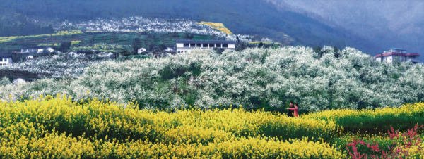 九龙山 九龙山