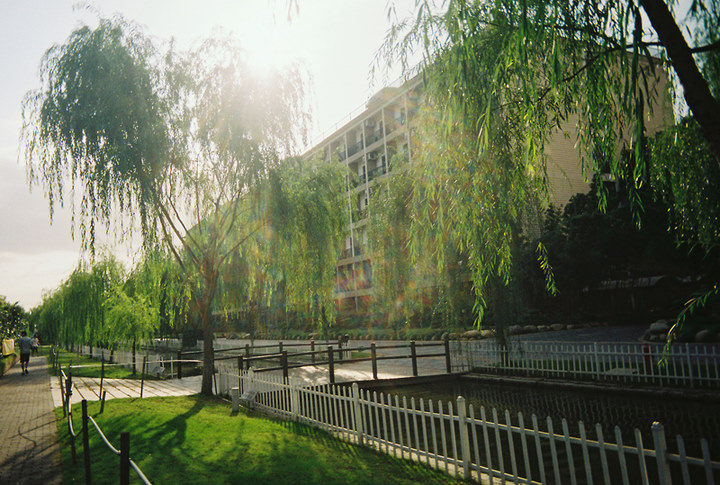学院风景 学院风景
