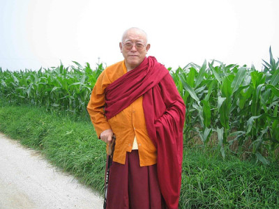 丹玛洛却仁波切