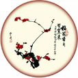 中国戏剧奖·梅花表演奖(中国戏剧梅花奖)
