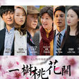一树桃花开(2016年王瑞执导电视剧)