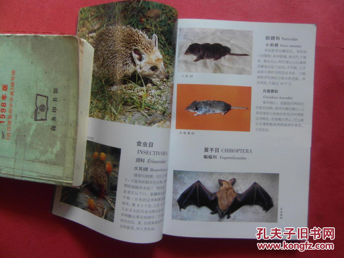 中国国家重点保护野生动物名录