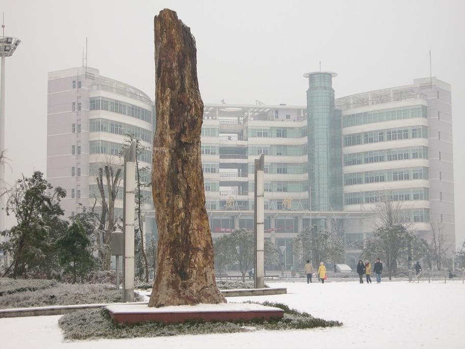 中南林业科技大学图书馆 中南林业科技大学图书馆
