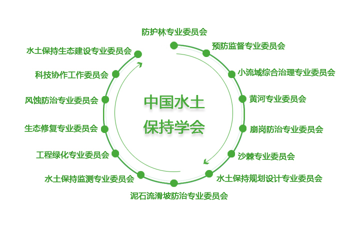 专业委员会 专业委员会