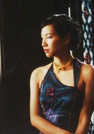 一个陌生女人的来信(中国2005年徐静蕾自导自演剧情片)