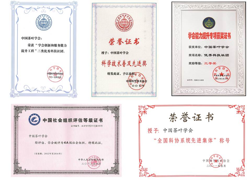 荣誉表彰 荣誉表彰