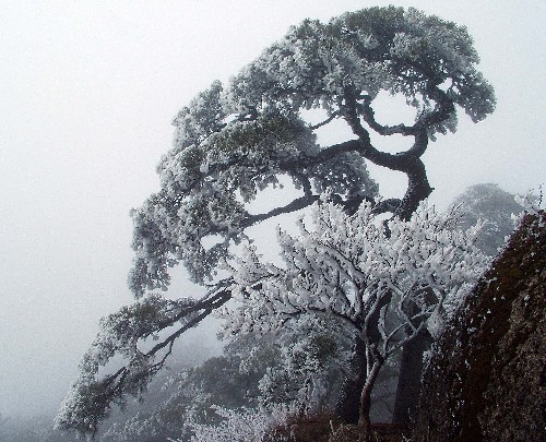 黄山 黄山