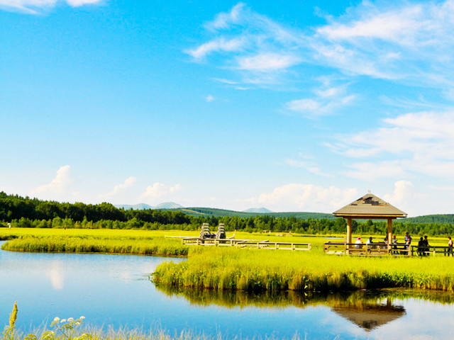 七星湖假鼠草湿地公园(七星湖湿地公园)