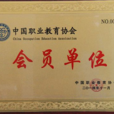 中国职业教育协会