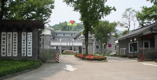 中国农业科学院茶叶研究所 中国农业科学院茶叶研究所