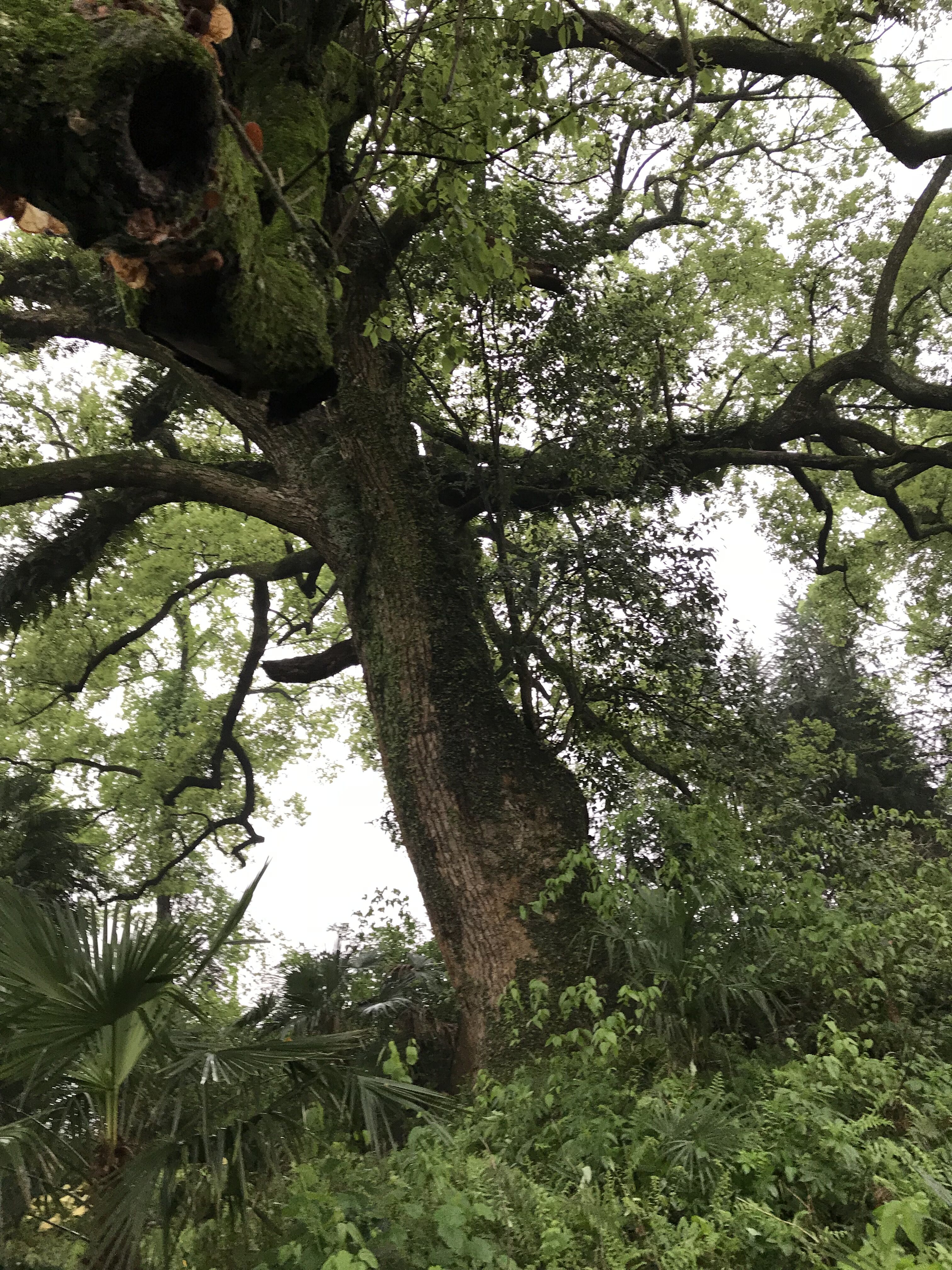 上塘村 上塘村