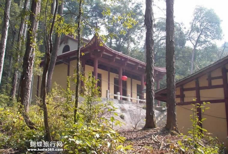 格氏栲自然保护区 格氏栲自然保护区
