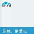 总裁，别爱我(红袖添香小说)