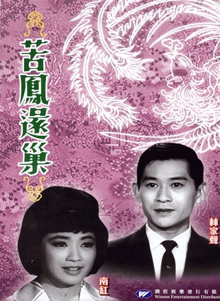 罗兰(香港演员)