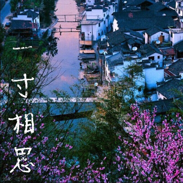 一寸相思(歌曲)