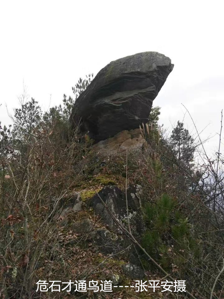 上庄村 上庄村